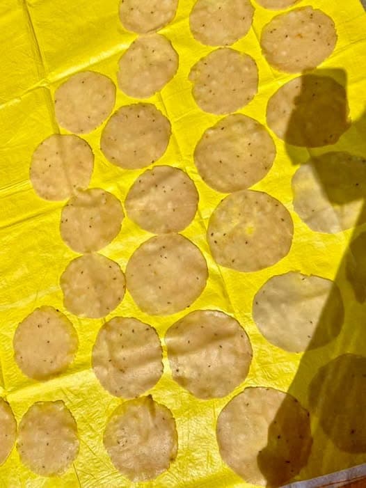ಪಪ್ಪಡಾನ್ನಿ ಚುಟುಕಂ