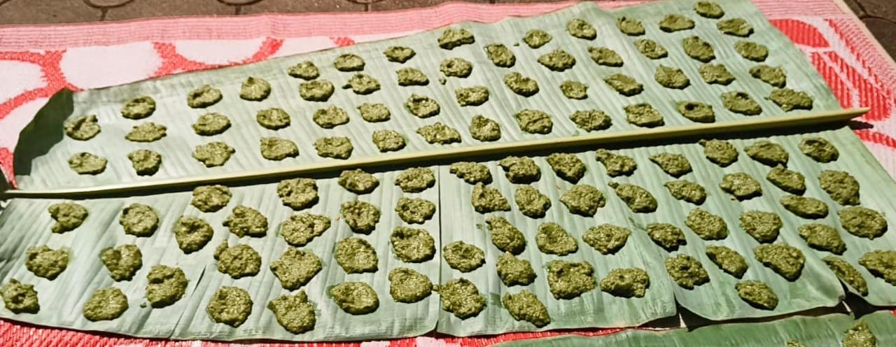 ಕಾಯಿ ಮೆಣಸು - ಉದ್ದಿನ ಬೇಳೆ ಸಂಡಿಗೆ