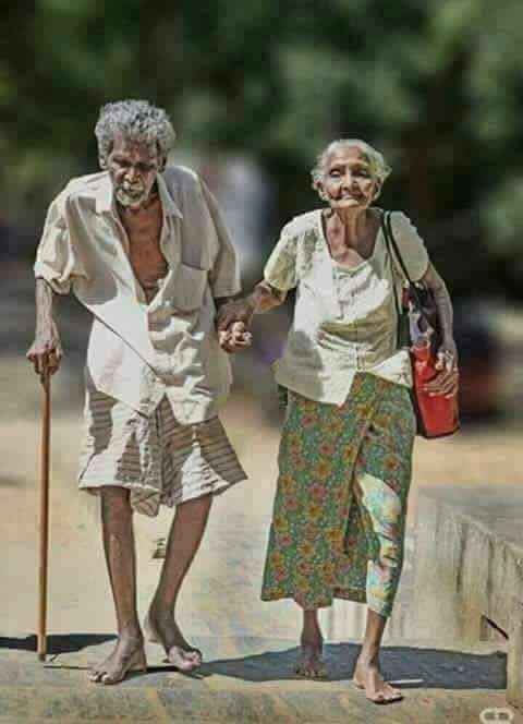 ಮುದಿ ಹರಯ
