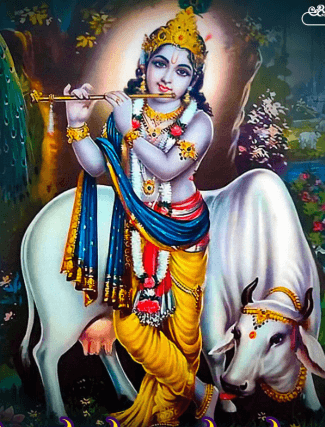 ಕೃಷ್ಣನ ಮಹಿಮೆಯೊ