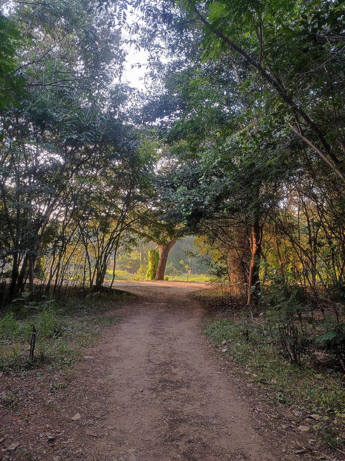 ಮುಕ್ತ.....